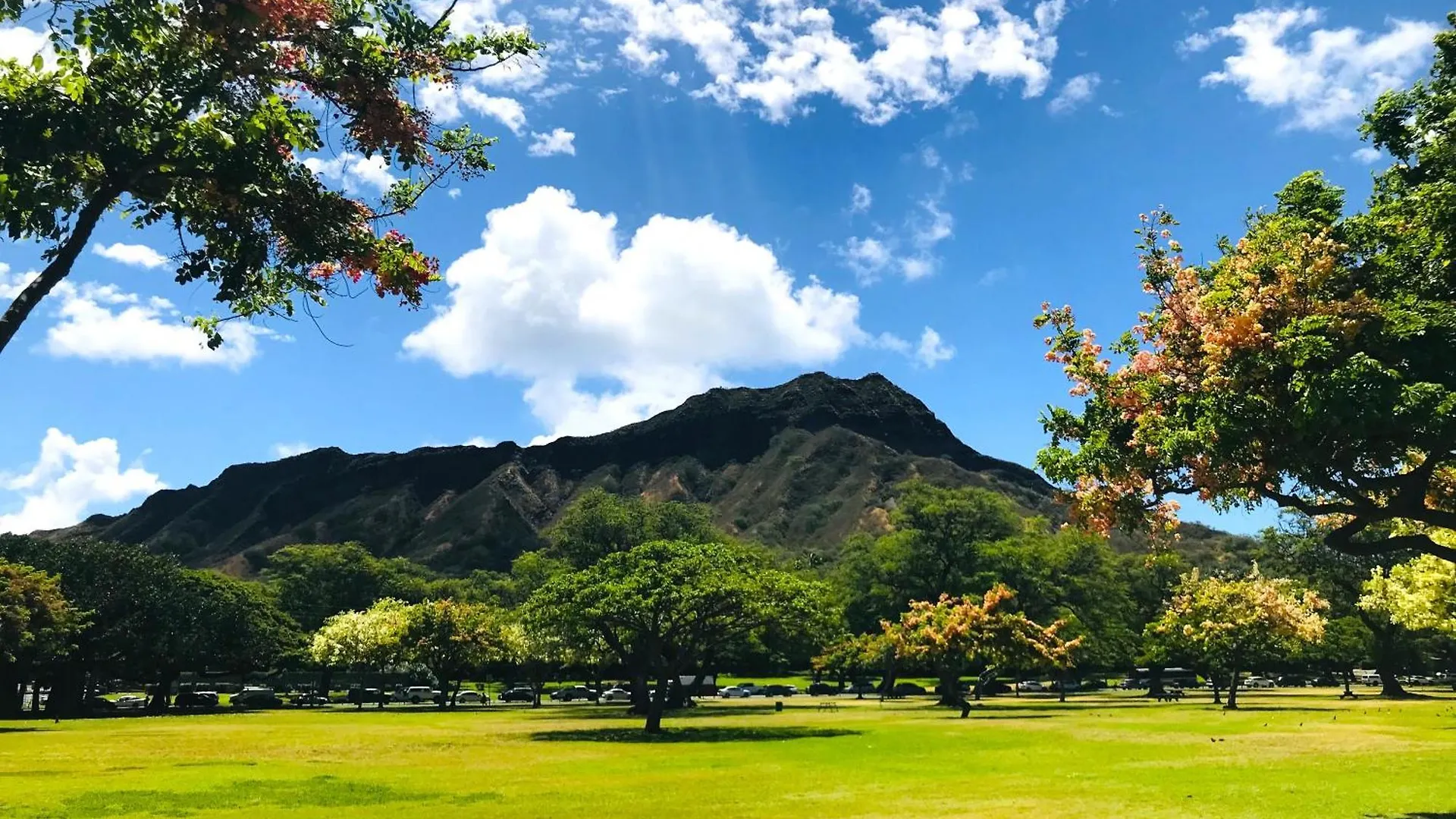 Royal Kuhio 2309 - Spacious Studio With Stunning Ocean Views In The Heart Of Waikiki! Honolulu